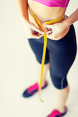 Image showing trained belly with measuring tape