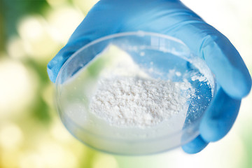 Image showing close up of scientist hands holding petri dish