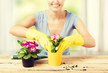 Image showing housewife with flower in pot and gardening set