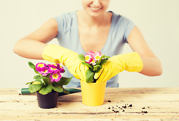 Image showing housewife with flower in pot and gardening set