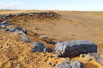 Image showing  bush old fossil in  the desert 