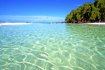 Image showing beach ile du cerfs seaweed in indian ocean people