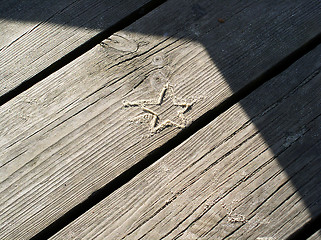 Image showing sand star on boards