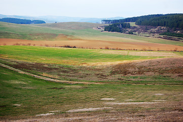 Image showing Field with forest