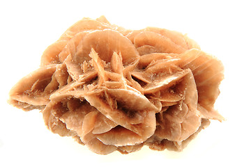 Image showing desert rose mineral isolated