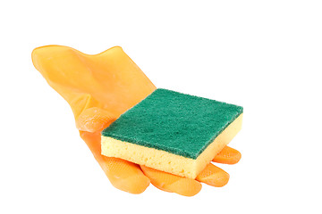 Image showing Scouring sponge on rubber glove