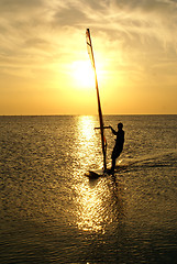 Image showing Windsurfing and sun