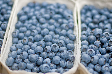 Image showing blueberry