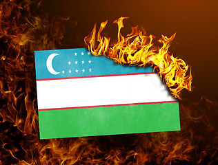 Image showing Flag burning - Uzbekistan