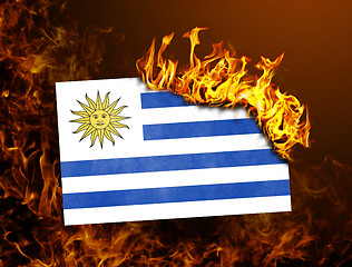 Image showing Flag burning - Uruguay