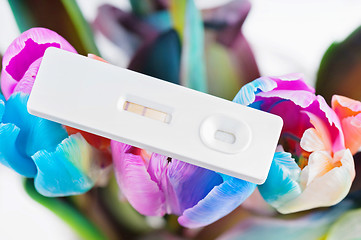 Image showing Closeup of pregnancy test and multicolored tulips
