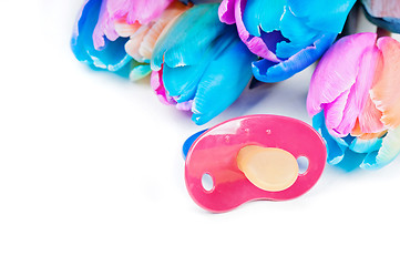 Image showing Soother with multicolored tulips
