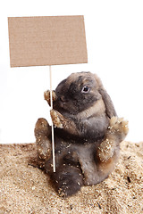 Image showing Easter bunny with an empty signpost