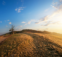 Image showing Grass in mountains