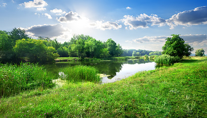 Image showing River landscape