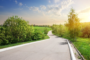 Image showing Birch and alley