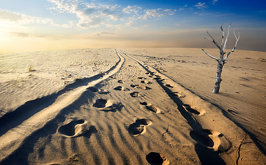 Image showing Sand desert