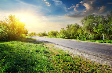 Image showing Trees near road