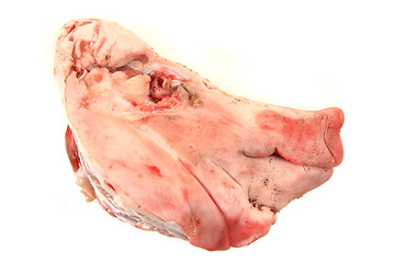 Image showing raw pig head isolated 