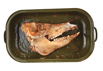 Image showing skull bone from roasted pig head 