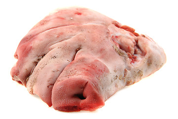 Image showing raw pig head isolated 