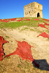 Image showing old construction in africa morocco and red  