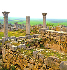 Image showing volubilis in morocco africa the old roman deteriorated monument 