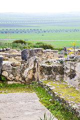 Image showing volubilis in morocco africa the old  site