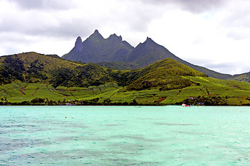 Image showing beach ile du cerfs seaweed in indian mountain