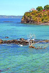 Image showing beautiful andilana beach seaweed in dead tree and rock 