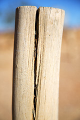 Image showing   wood in the sky morocco africa winter