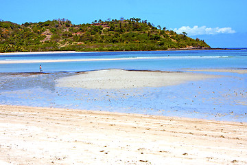 Image showing beautiful andilana beach seaweed in indian  