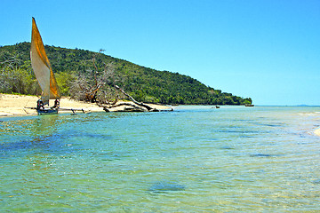 Image showing pirogue beach seaweed in indian ocean  and rock