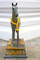 Image showing horse  in the temple bangkok asia   sidewalk