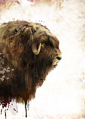 Image showing  Muskox Watercolor