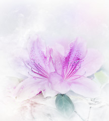 Image showing Pink Azalea Watercolor