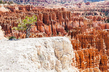 Image showing Bryce Canyon