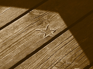 Image showing sand star on boards