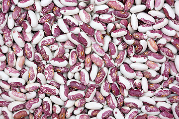 Image showing Bicolor beans.