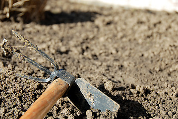 Image showing Gardening tool