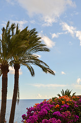 Image showing Beautiful view at the Canary Islands