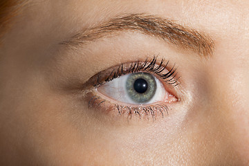 Image showing Close up Woman Eye Looking Up