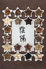 Image showing Yin and Yang Herbs