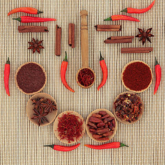 Image showing Red Chilli Peppers and Spices