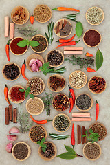 Image showing Chilli Spices and Herbs