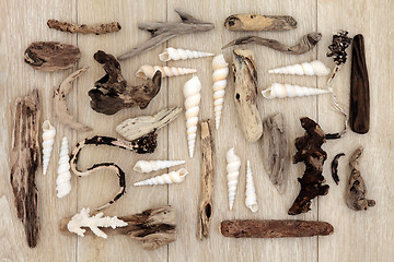 Image showing Seaside Treasures