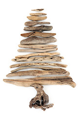 Image showing Driftwood Tree Abstract