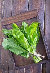 Image showing fresh sorrel