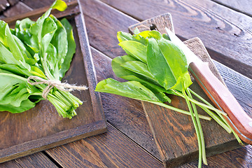 Image showing fresh sorrel