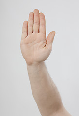 Image showing Hand showing stop